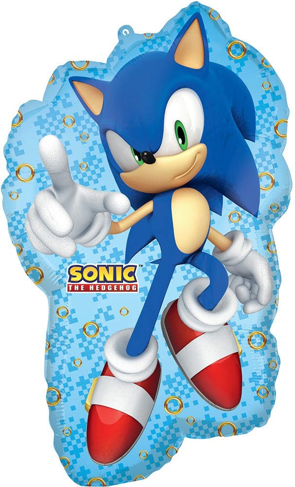 Sonic the Hedgehog in a dynamic pose with a floral background.