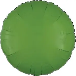 A round green balloon with a smooth surface.